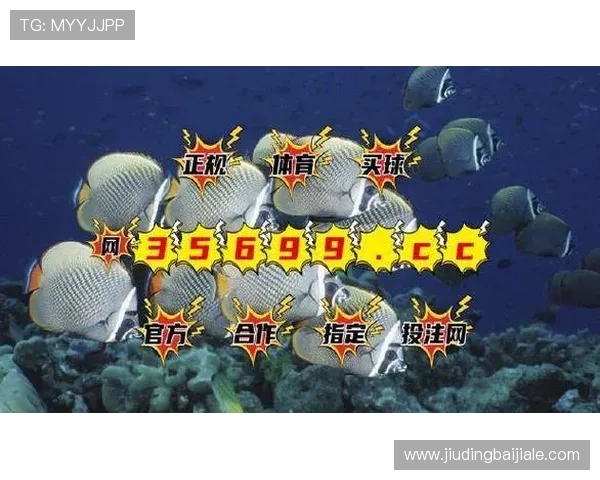 BG视讯app下载最新官方版本，安全稳定支持多平台畅玩体验全面升级